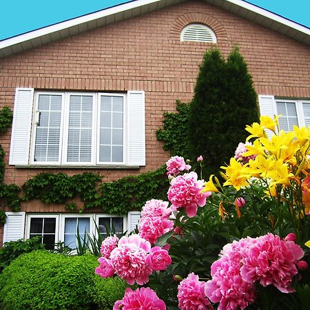 Opus 74 Bed & Breakfast 斯特拉福德 外观 照片